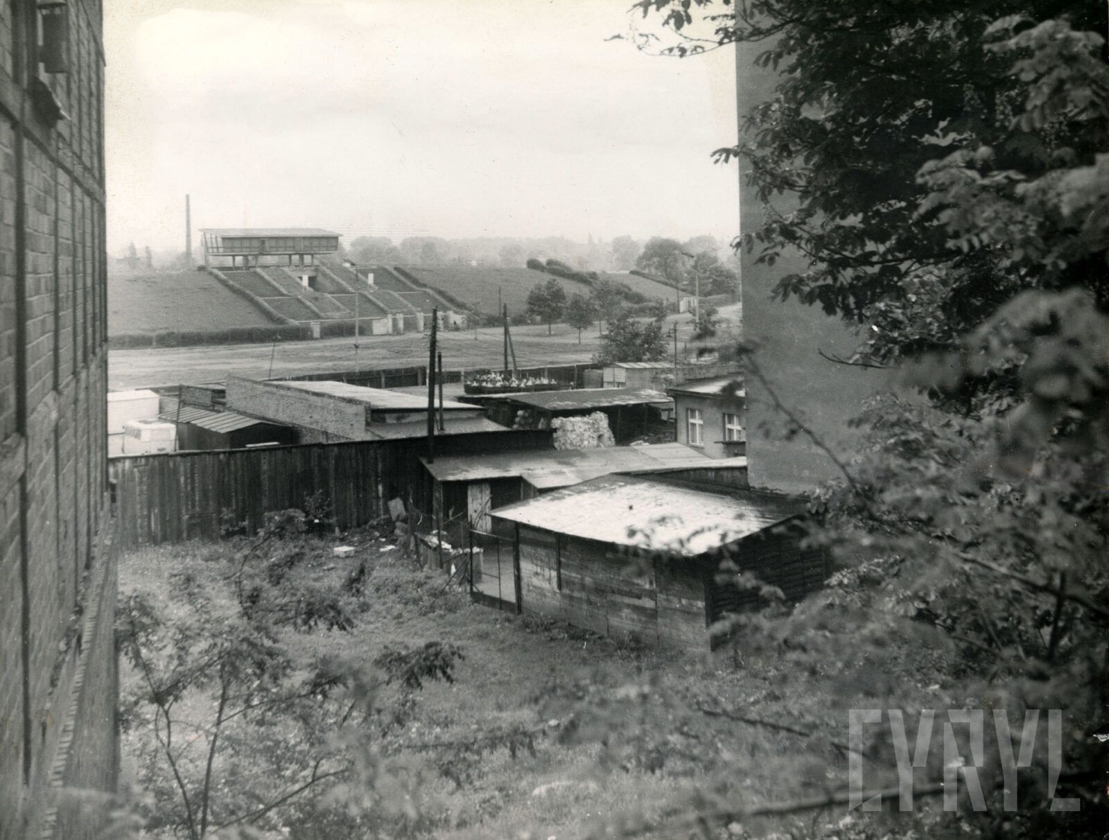 Wilda: Od średniowiecznej wsi do tętniącej życiem dzielnicy Pozn