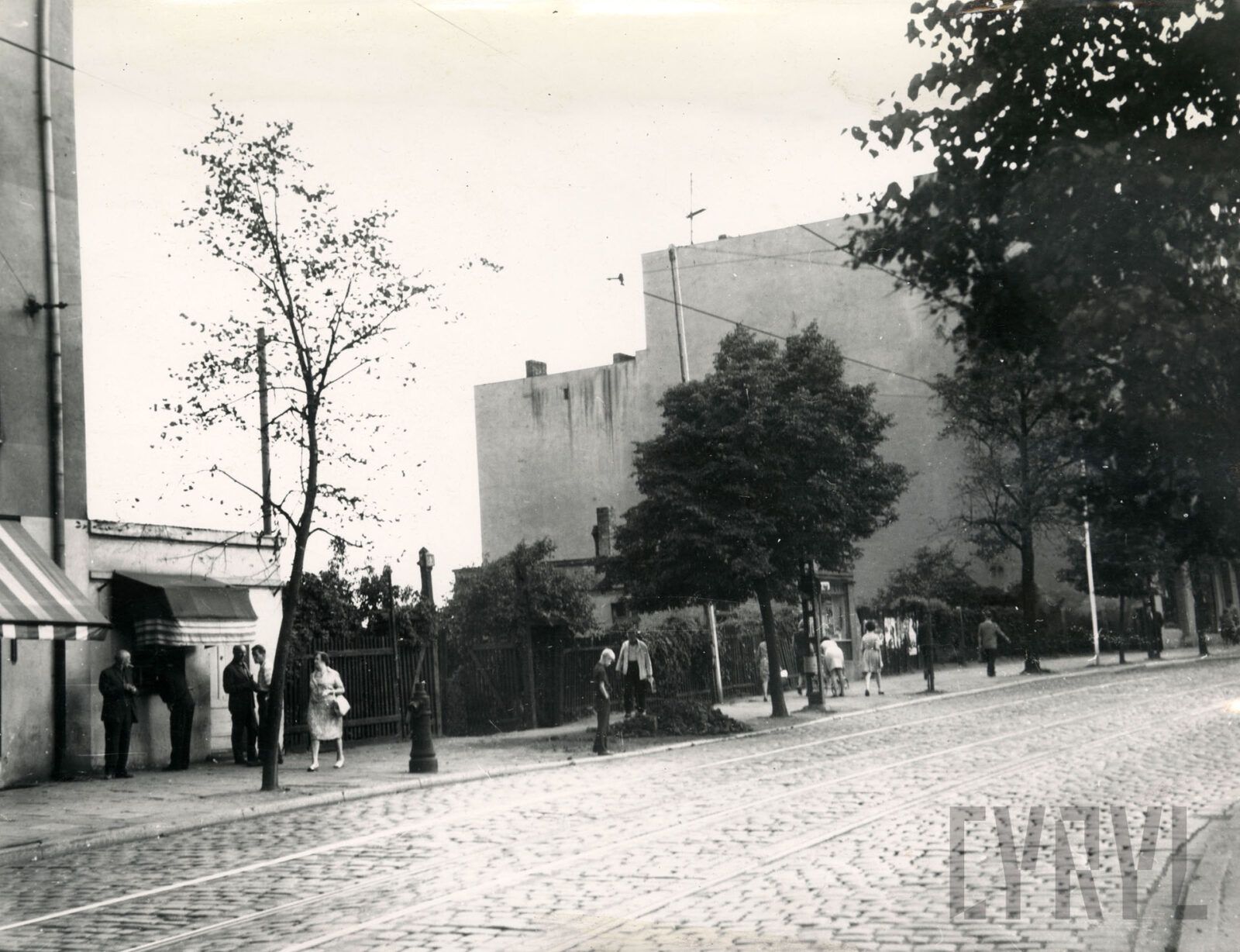 Wilda: Od średniowiecznej wsi do tętniącej życiem dzielnicy Pozn