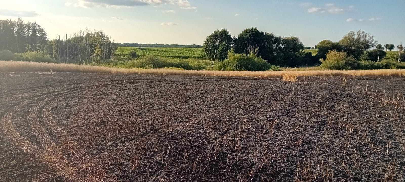 Pożar zboża na pniu w Kobiernikach