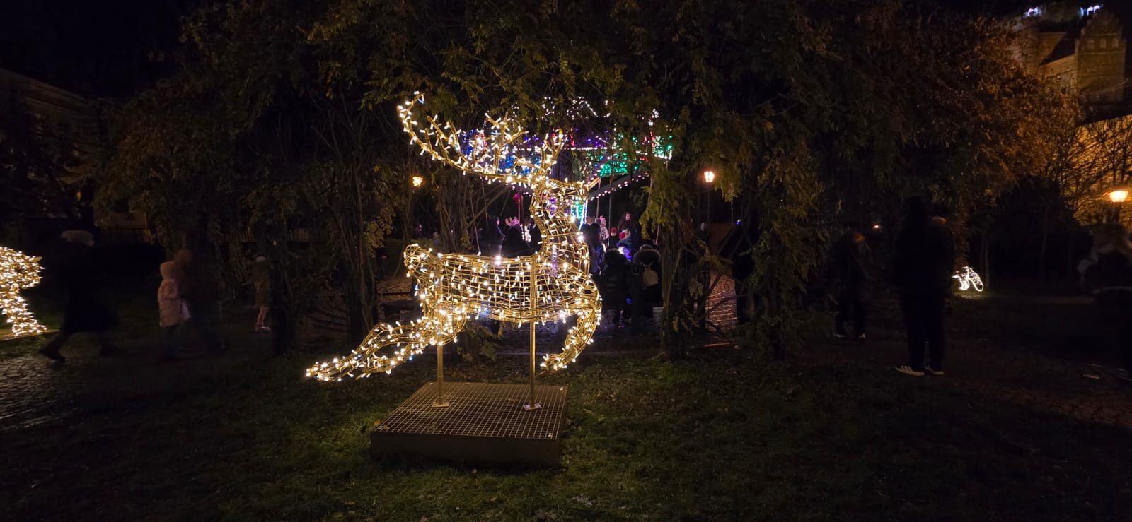 Płockie Ogrody Światła