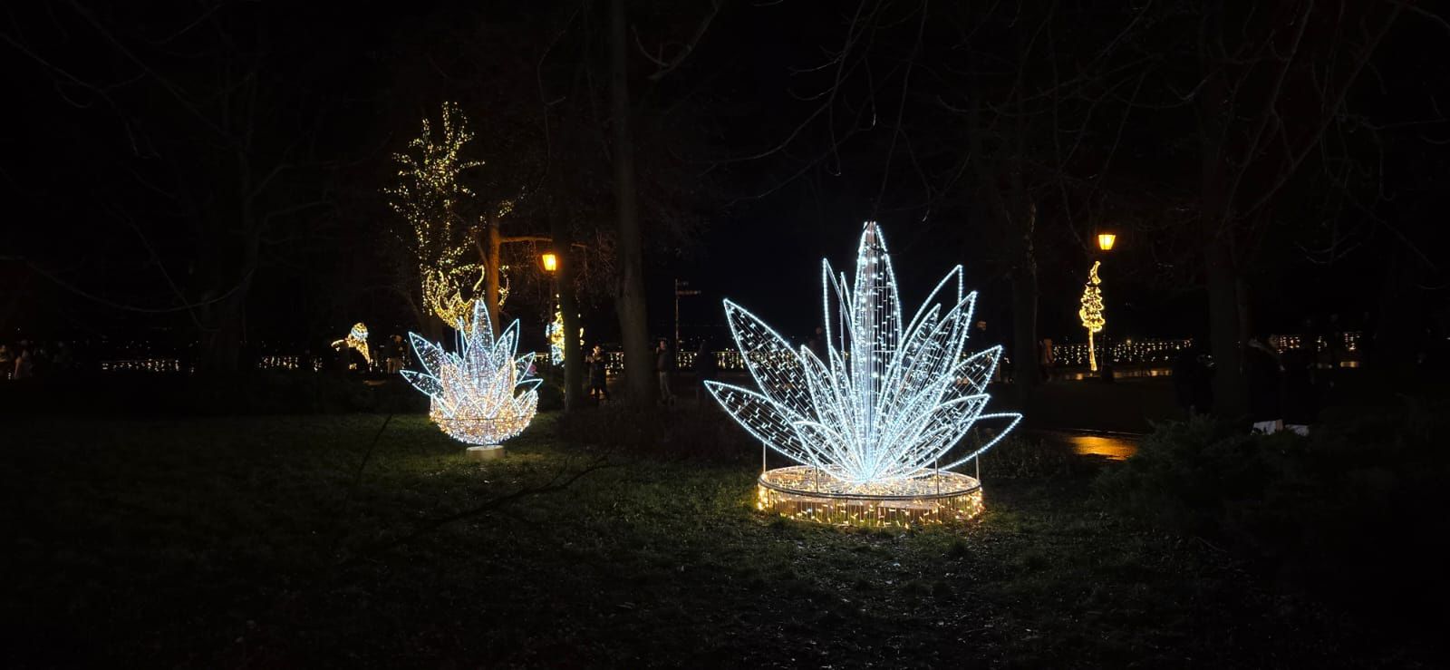 Płockie Ogrody Światła