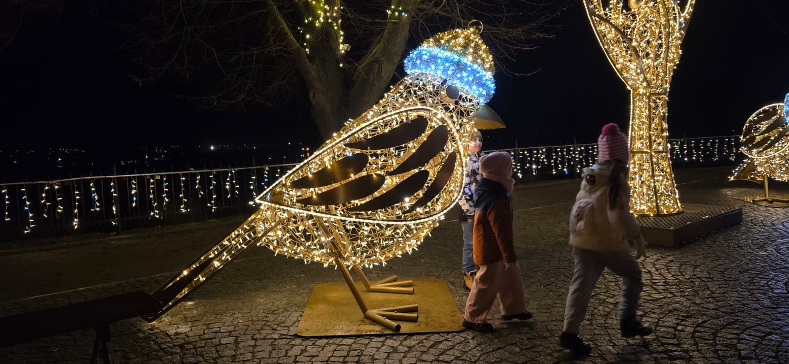 Płockie Ogrody Światła