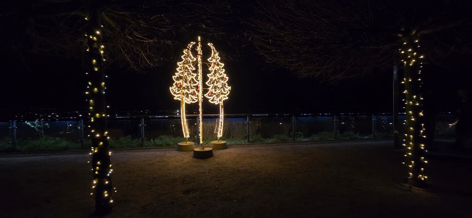 Płockie Ogrody Światła