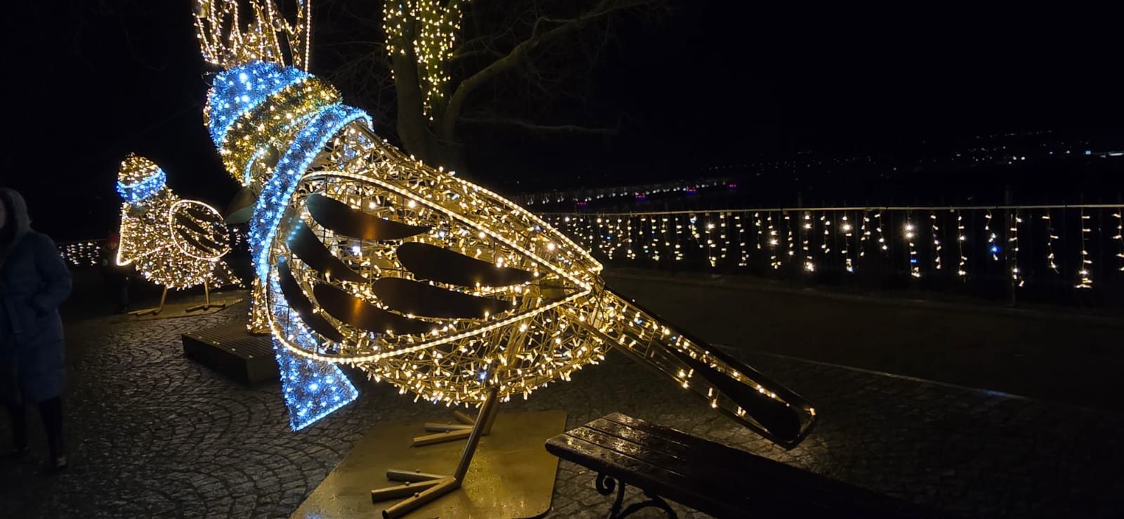 Płockie Ogrody Światła