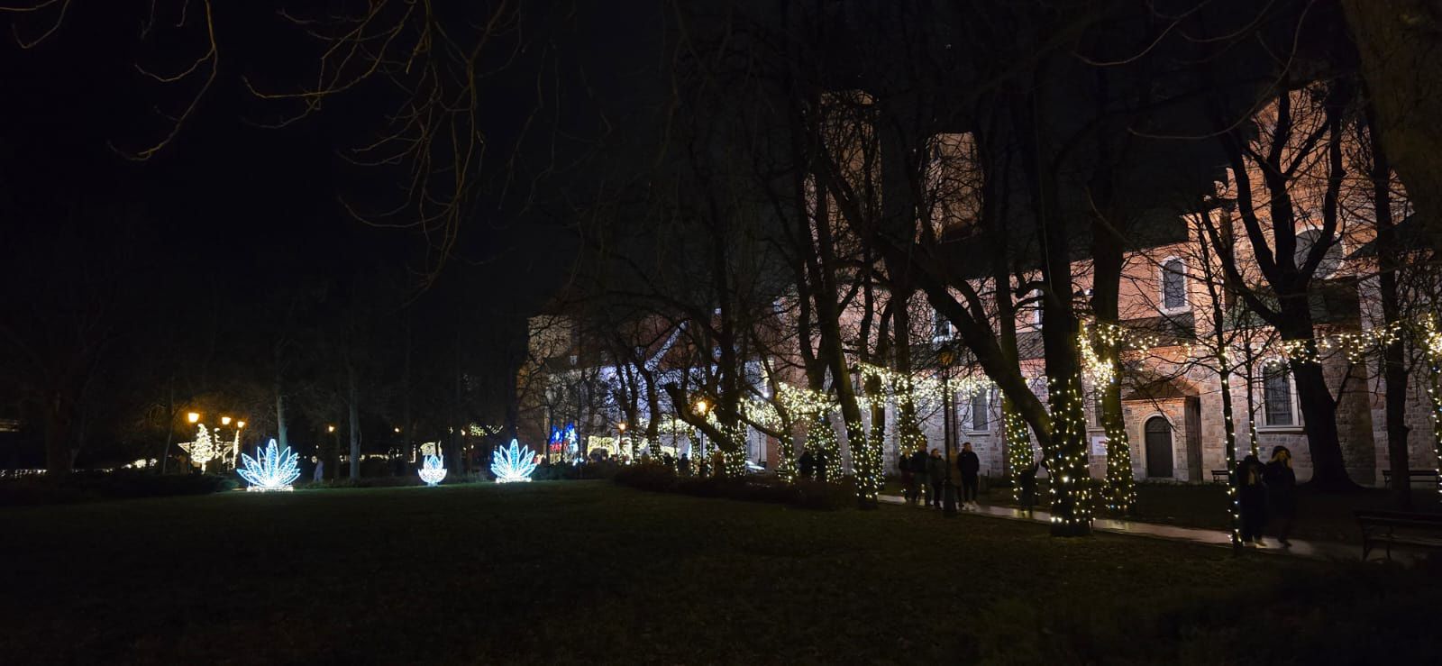 Płockie Ogrody Światła