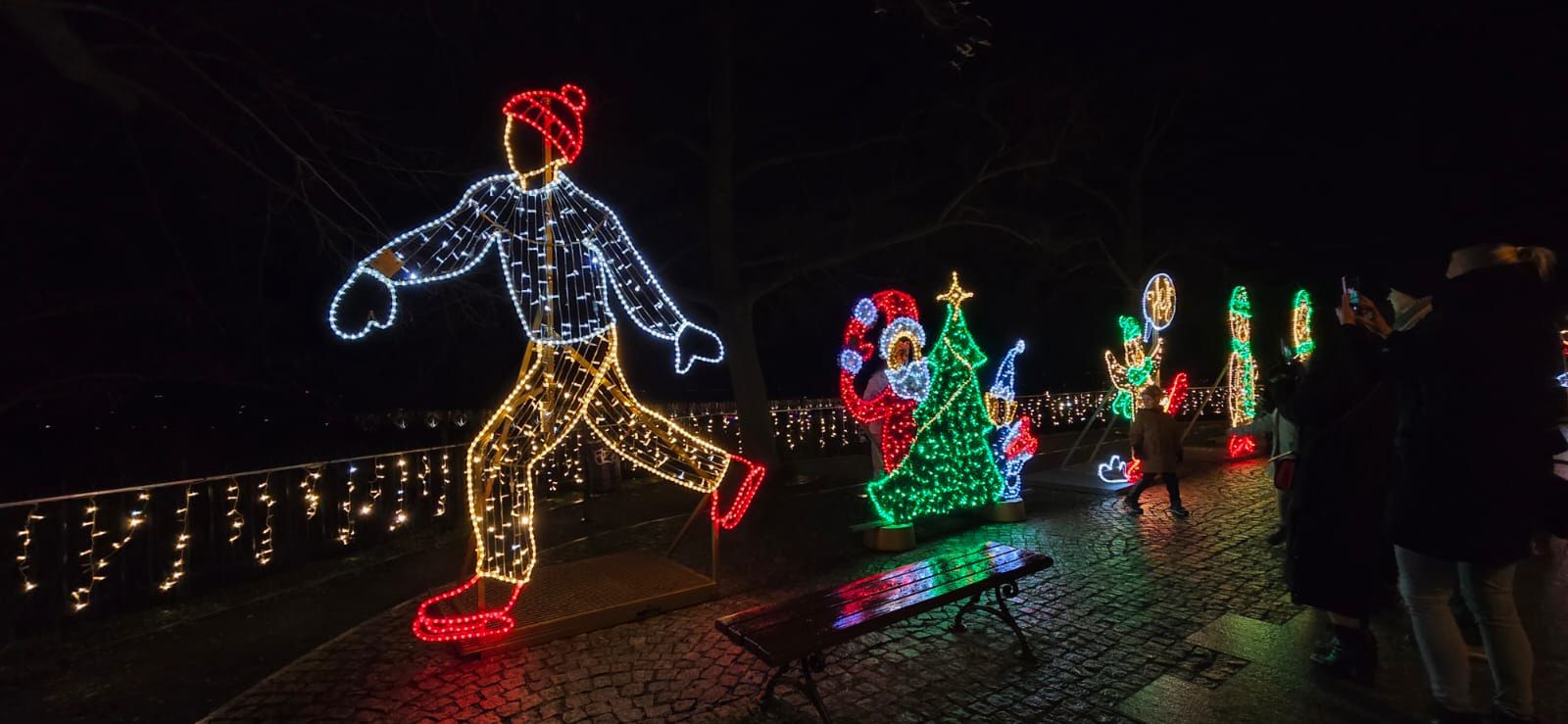 Płockie Ogrody Światła