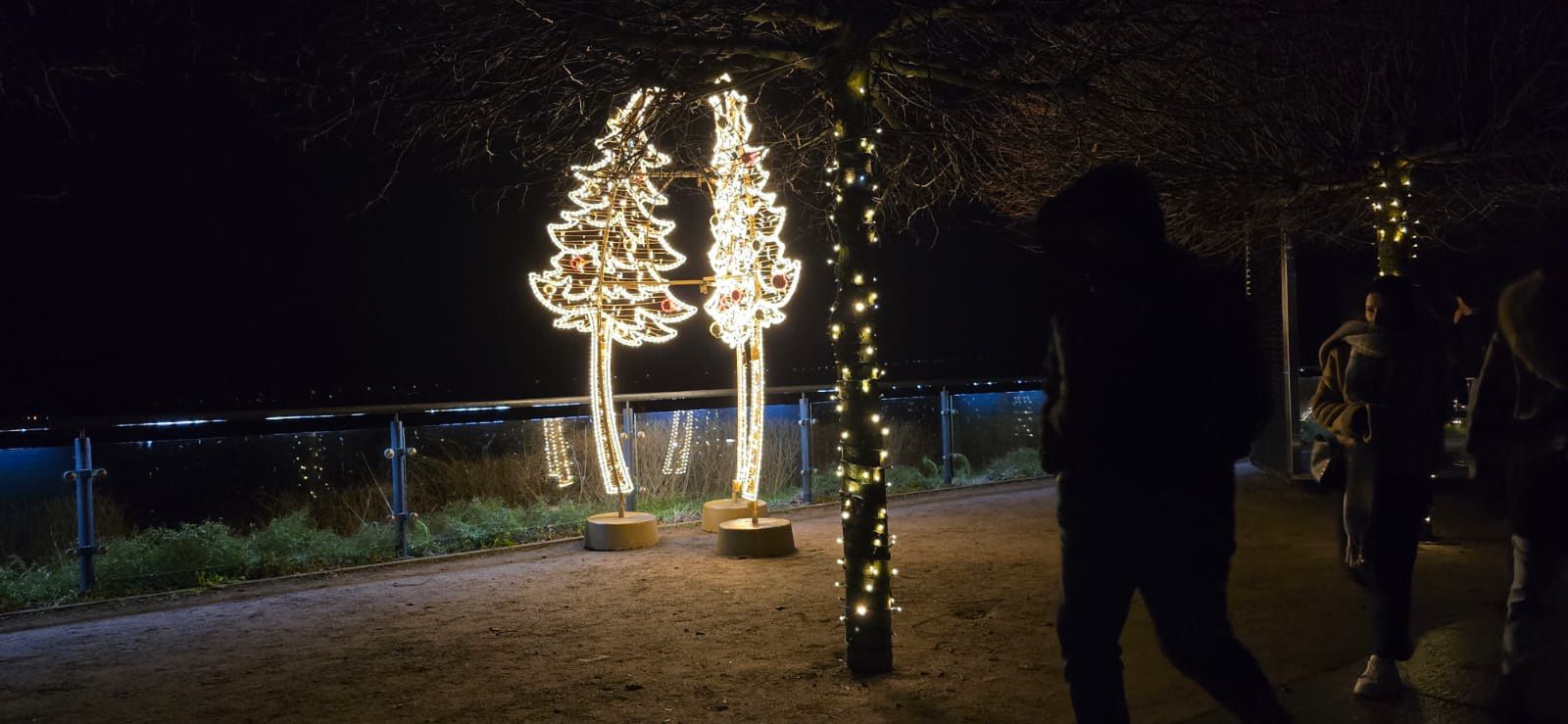 Płockie Ogrody Światła