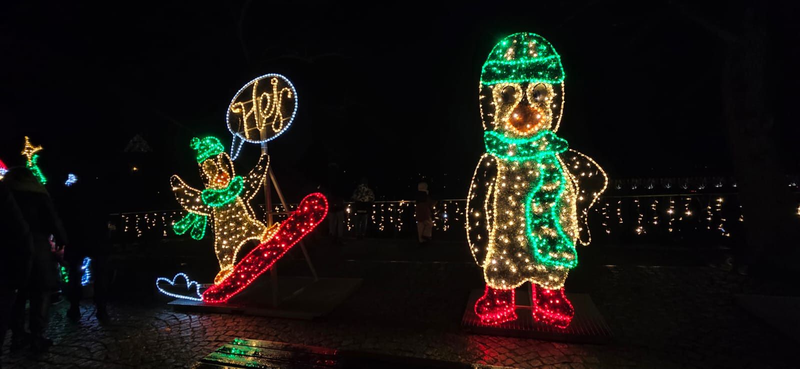 Płockie Ogrody Światła