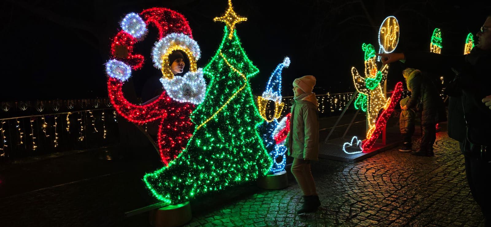 Płockie Ogrody Światła