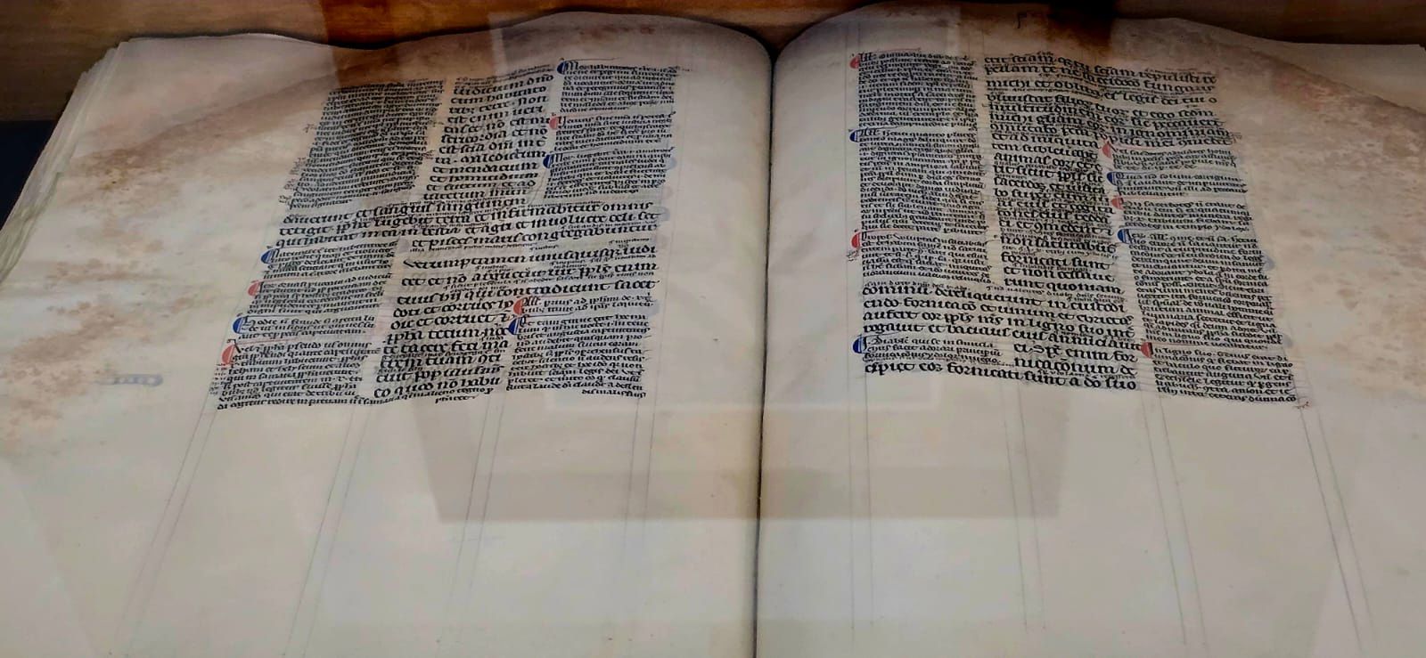 Dzieje Diecezji w rękopisach