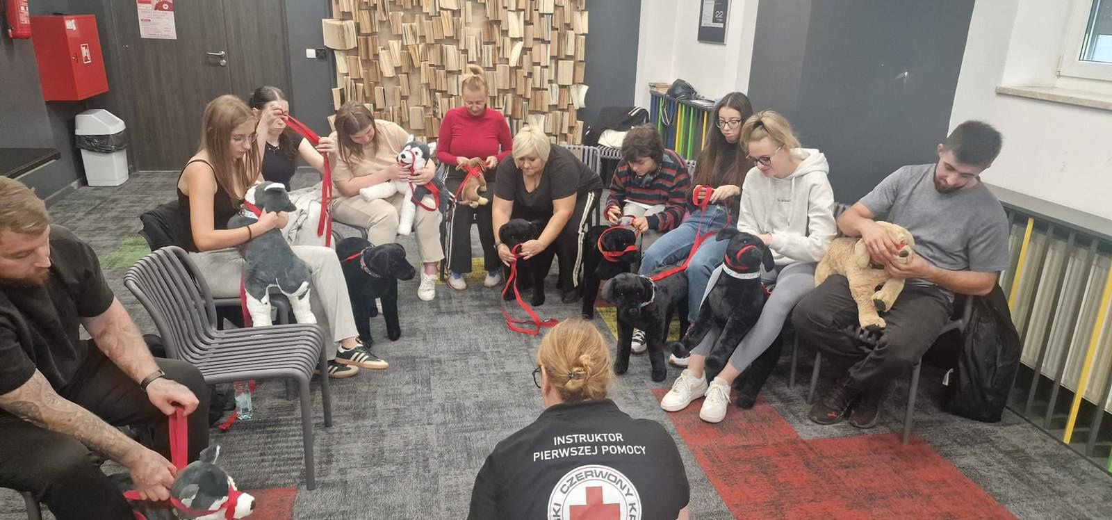 Pierwsza pomoc dla zwierząt 