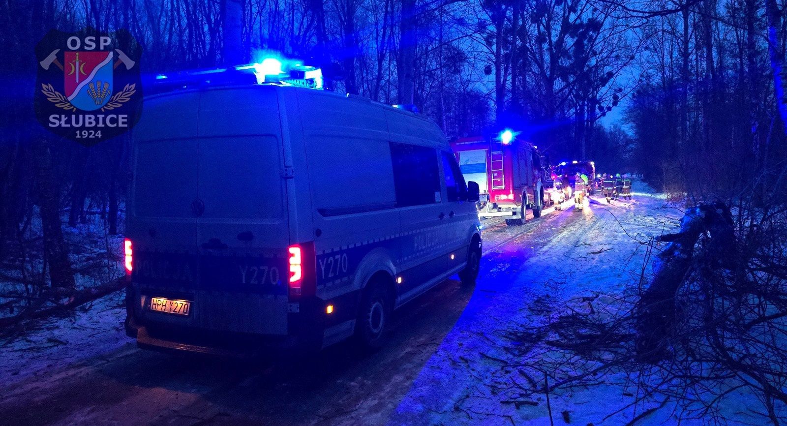 Auto uderzyło w drzewo 