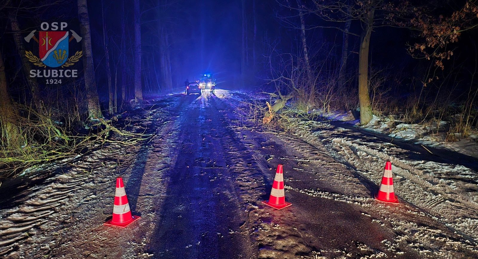 Auto uderzyło w drzewo 