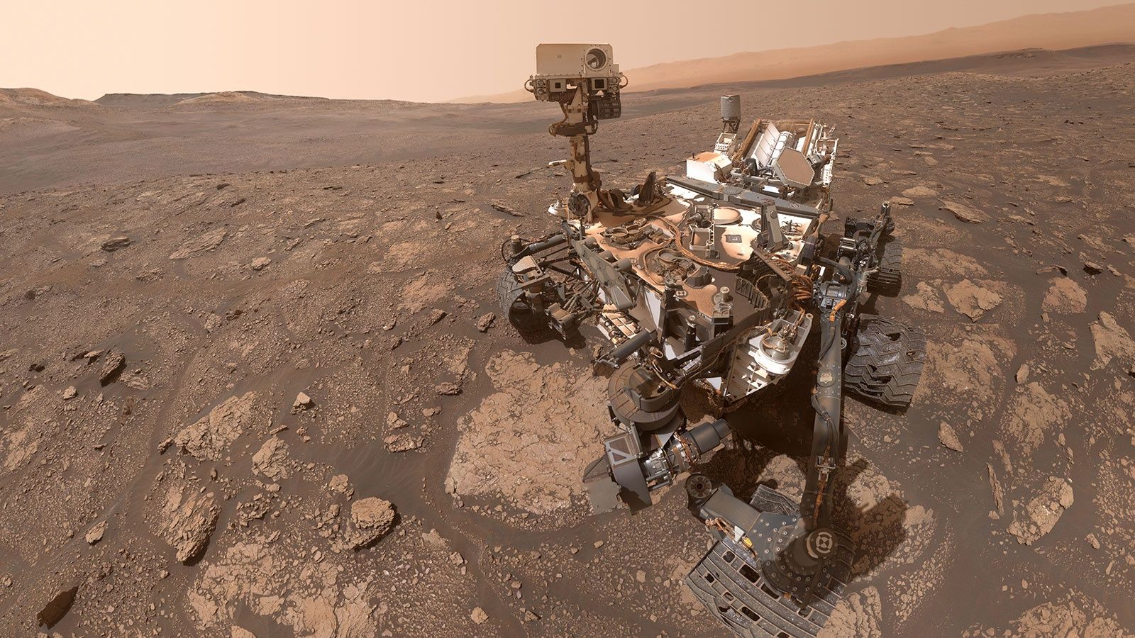 Curiosity selfie