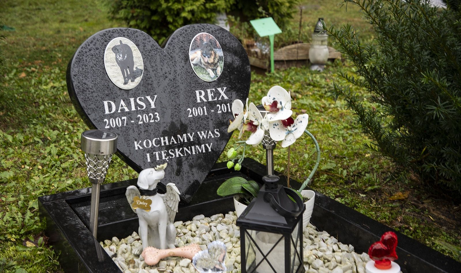 Cmentarz dla zwierząt w Pile - Leszkowie. 