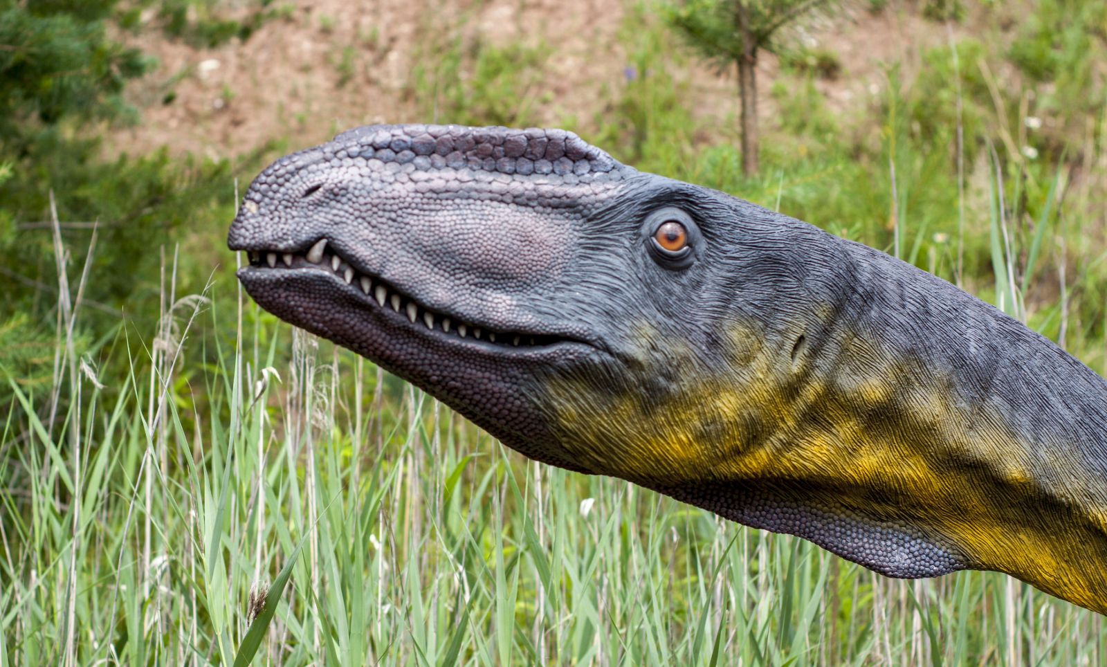 JuraPark - Krasiejów