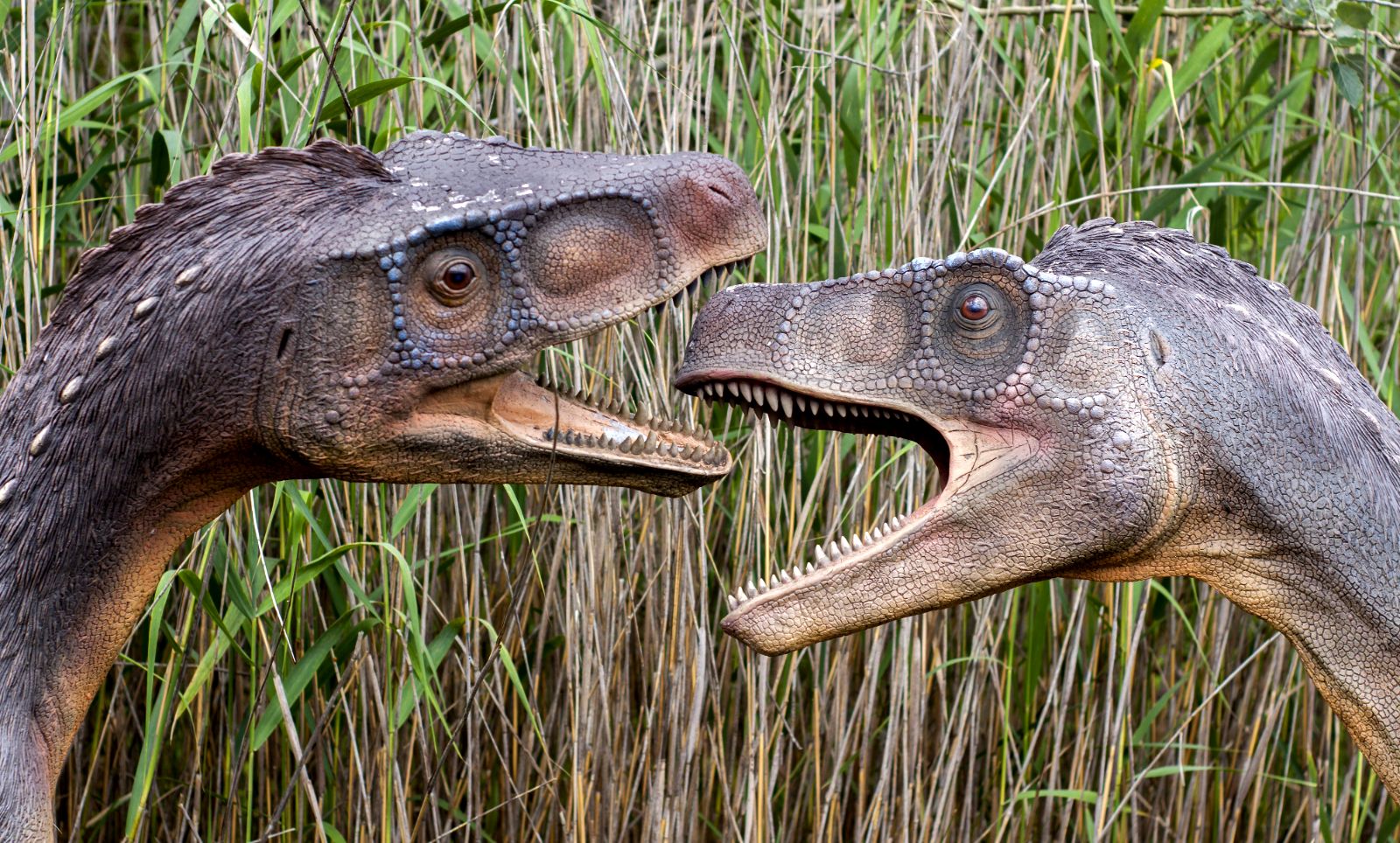 JuraPark w Krasiejowie