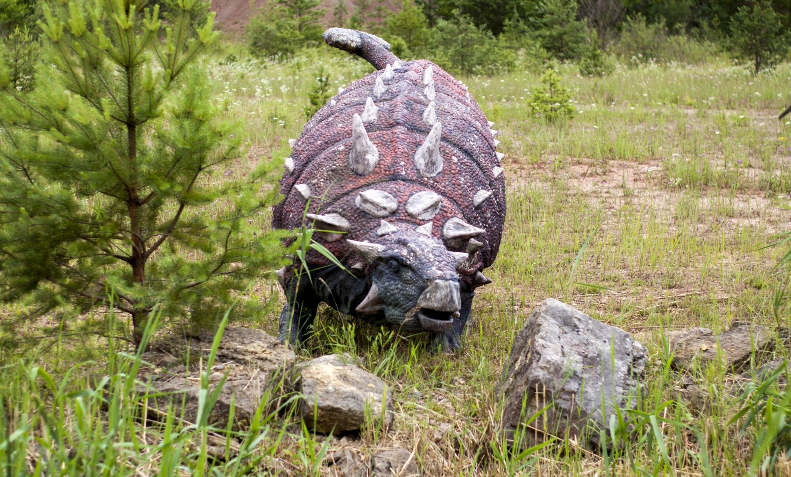 JuraPark - Krasiejów