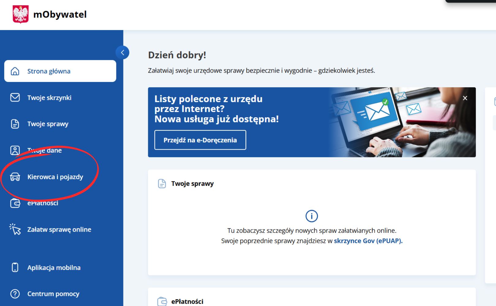 Jak sprawdzić punkty karne 2025