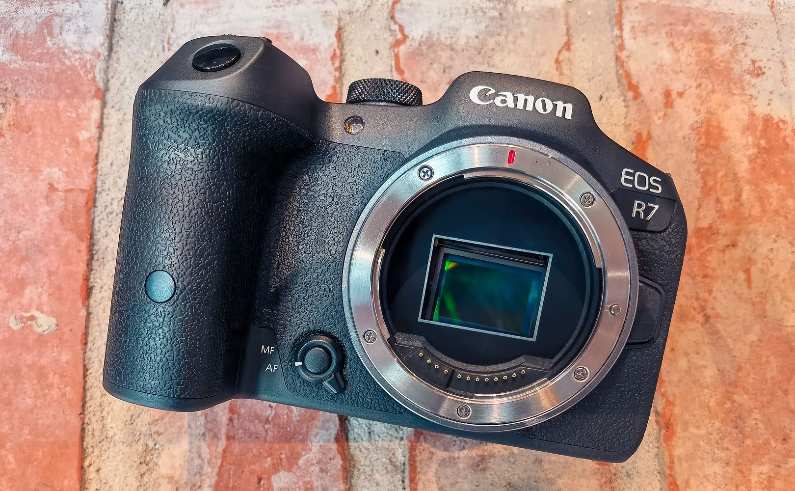 Canon EOS R7 sensor