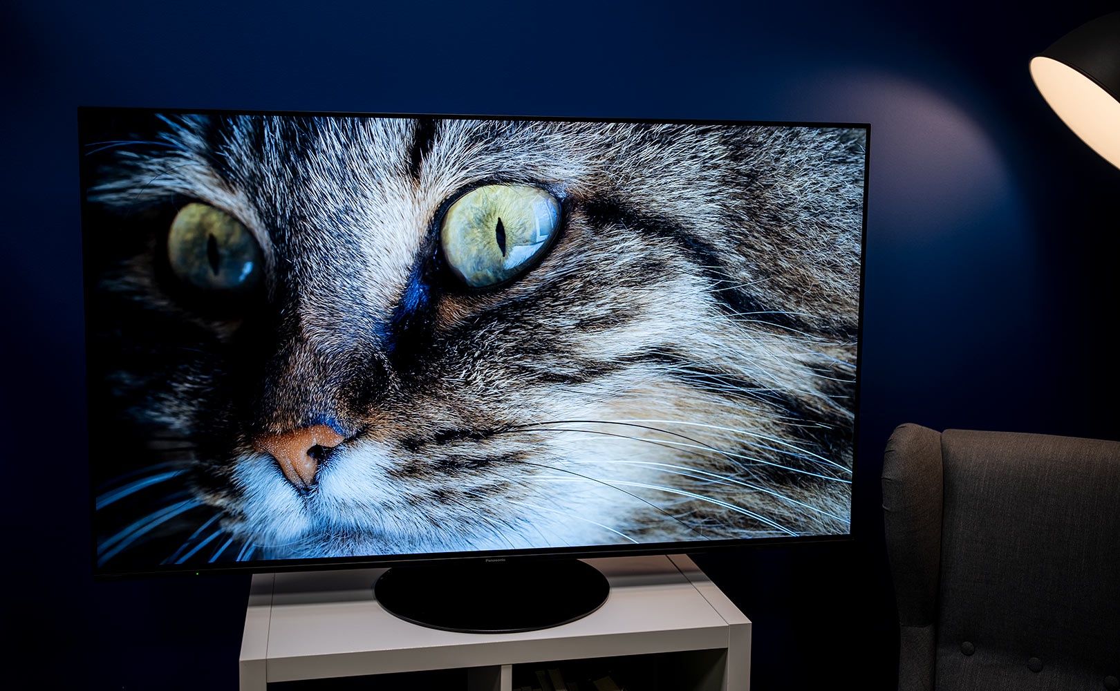 Panasonic TX-55LZ1000E -