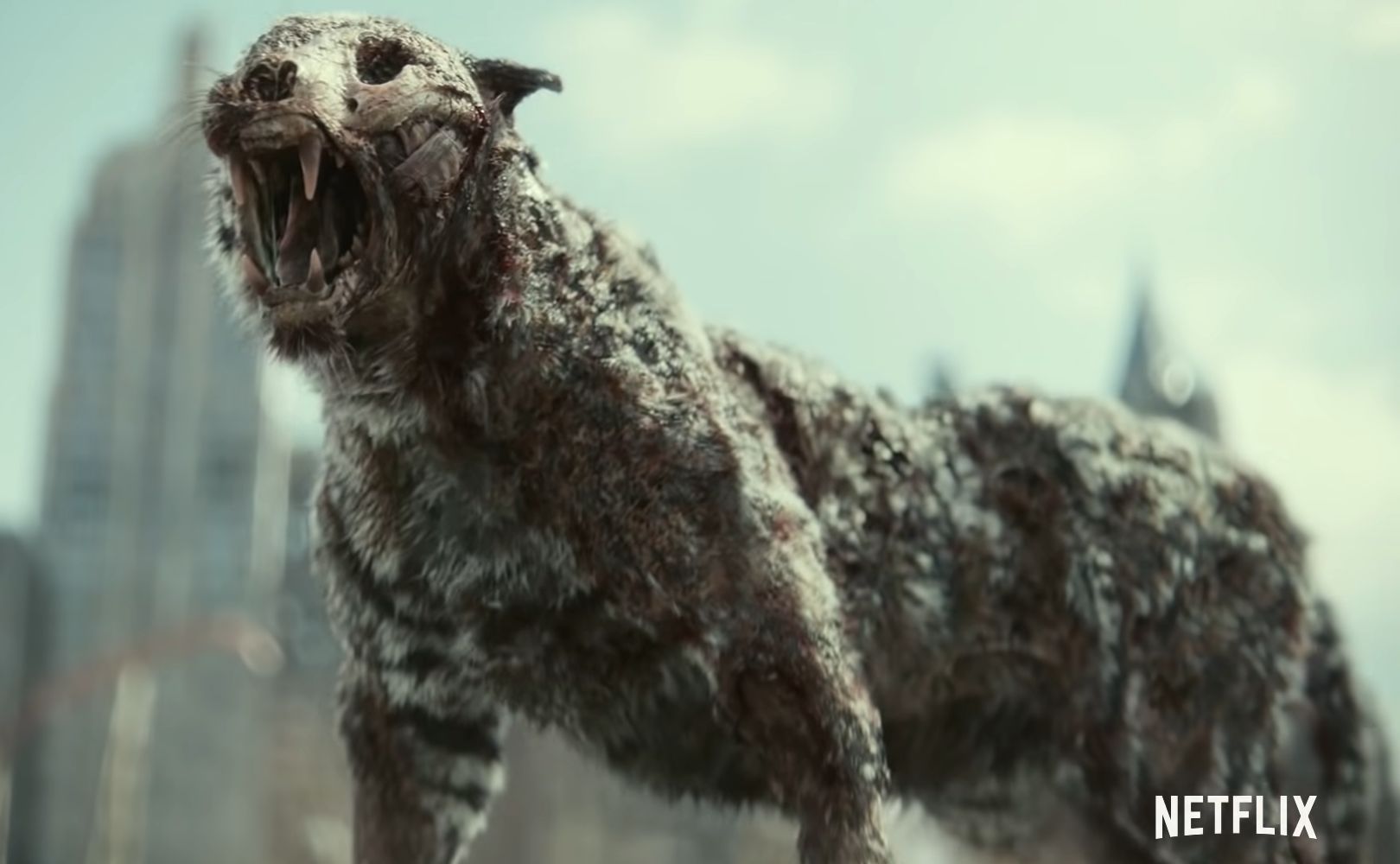 Zdjęcie z filmu Armia Umarłych