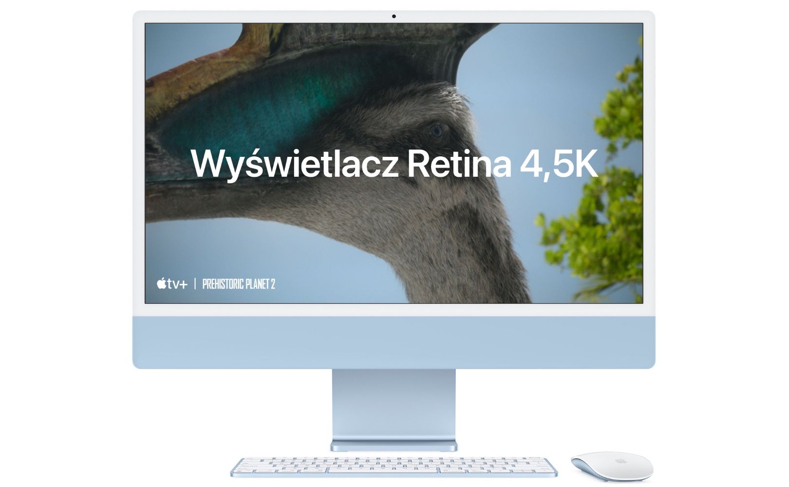 iMac wyświetlacz