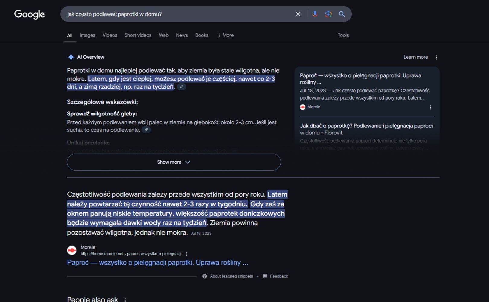 Jak działa Google AI Overviews
