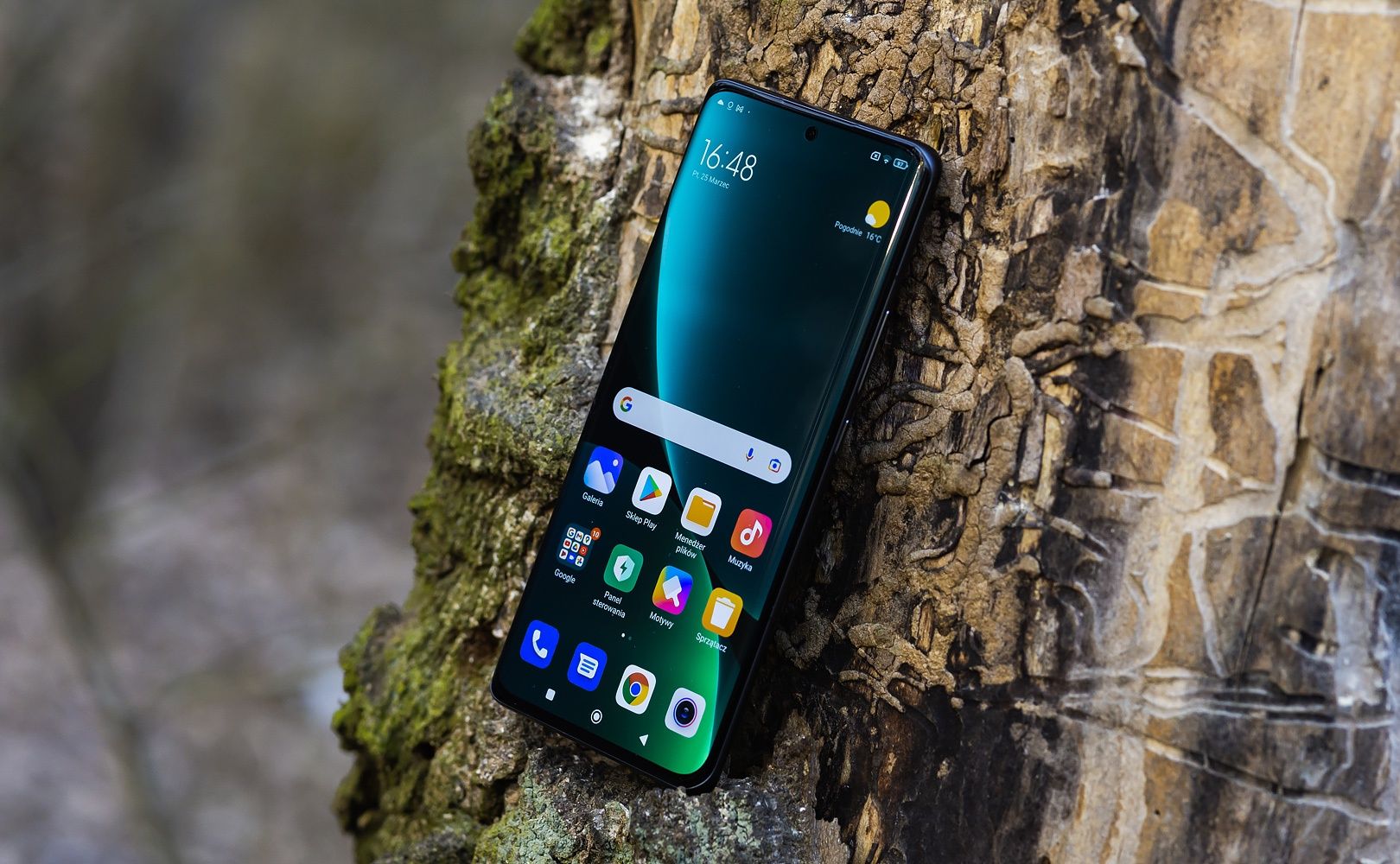 Xiaomi 12 Pro ekran
