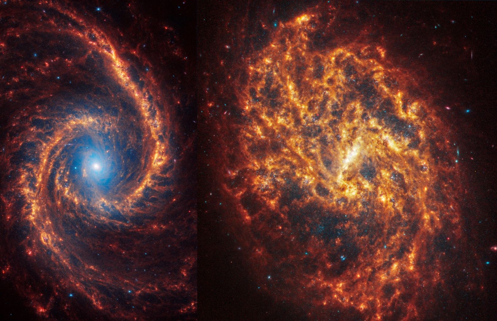 Galaktyka NGC 1566 i NGC 1087
