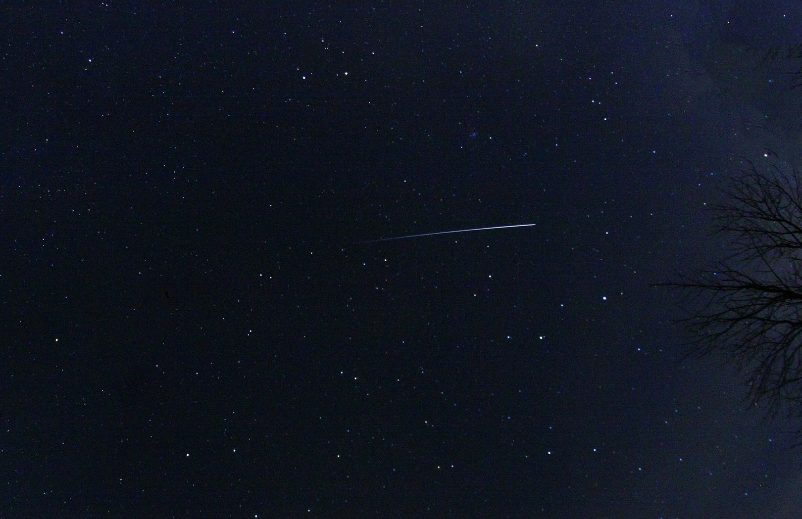 Meteor z roju Leonid