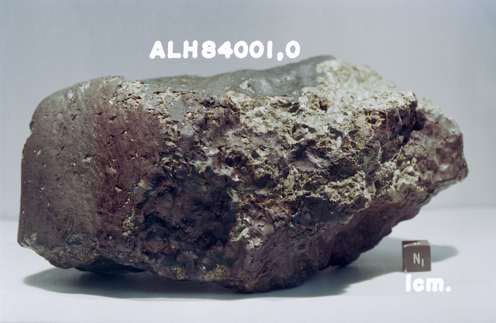 Meteoryt ALH84001