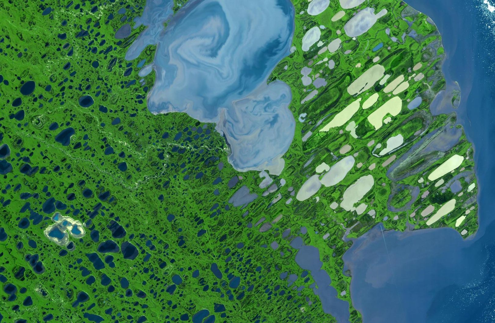 Jezioro Teshepuk