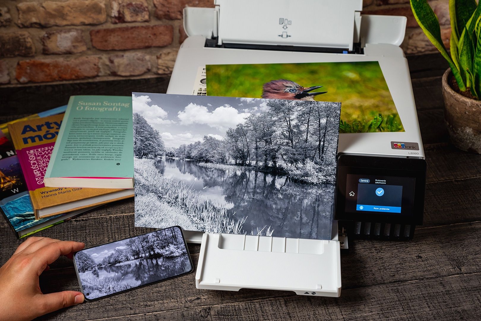 Epson druk mono