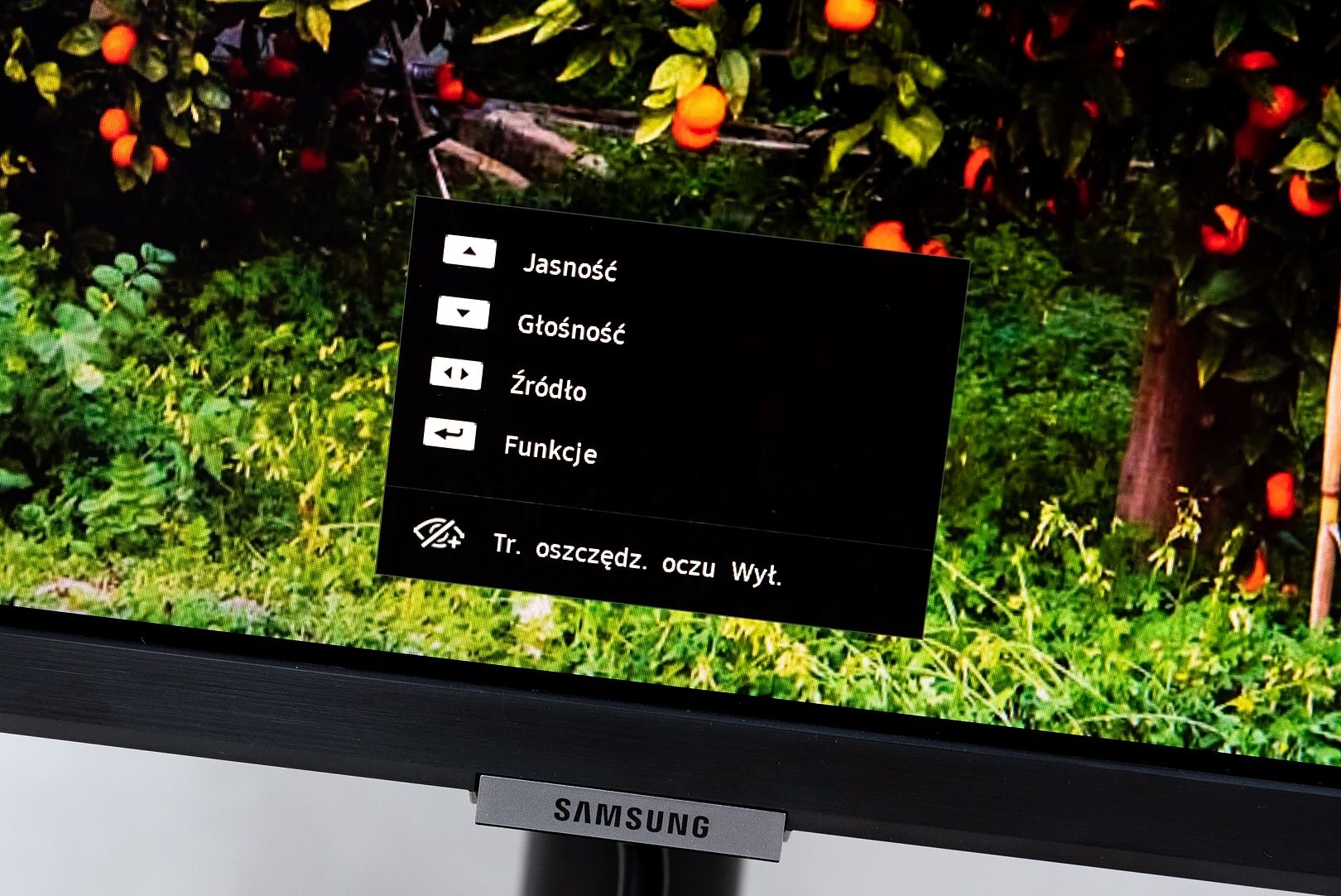 Samsung ViewFinity S8 32 cale menu podstawowe