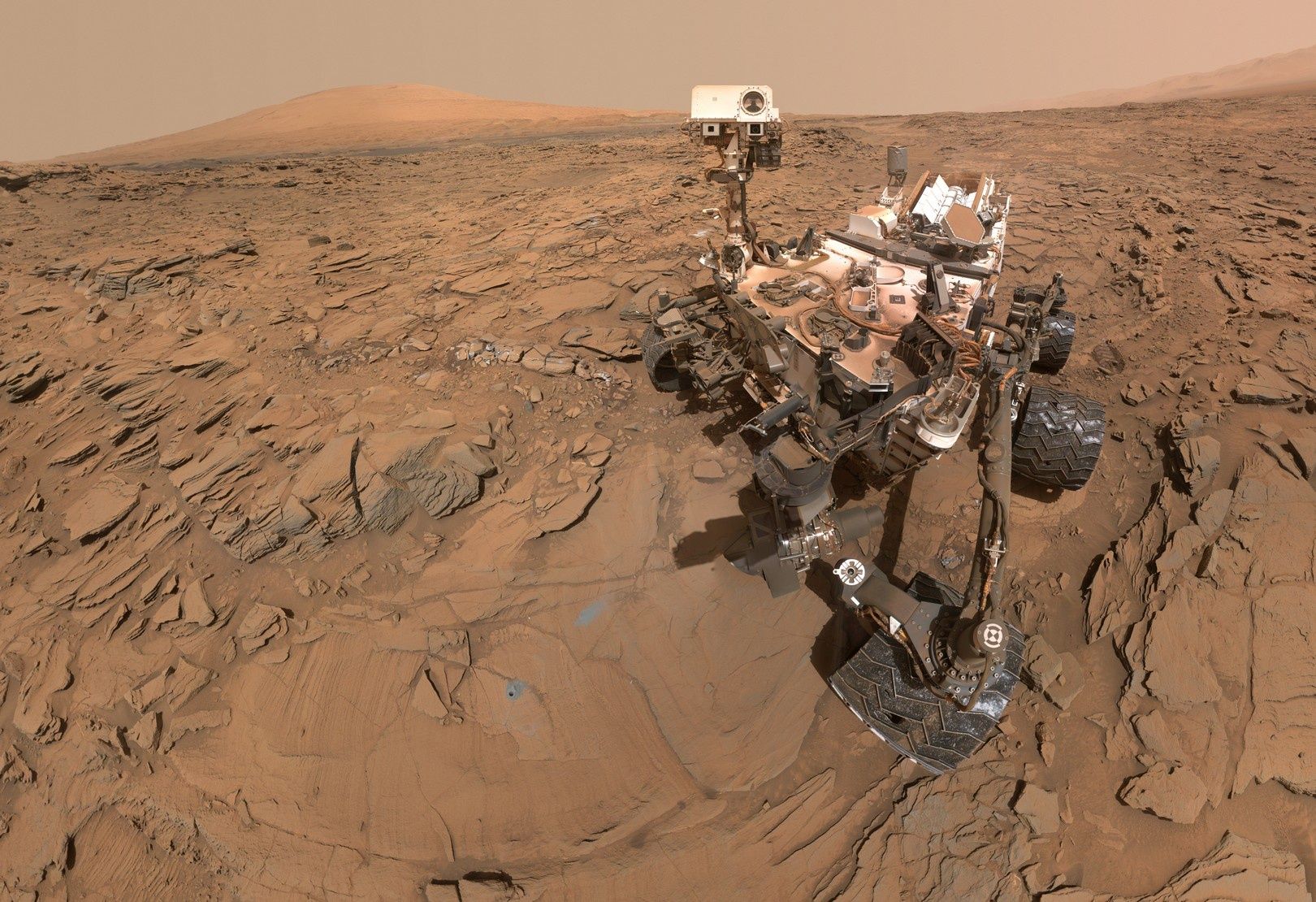 Selfie Curiosity 2016