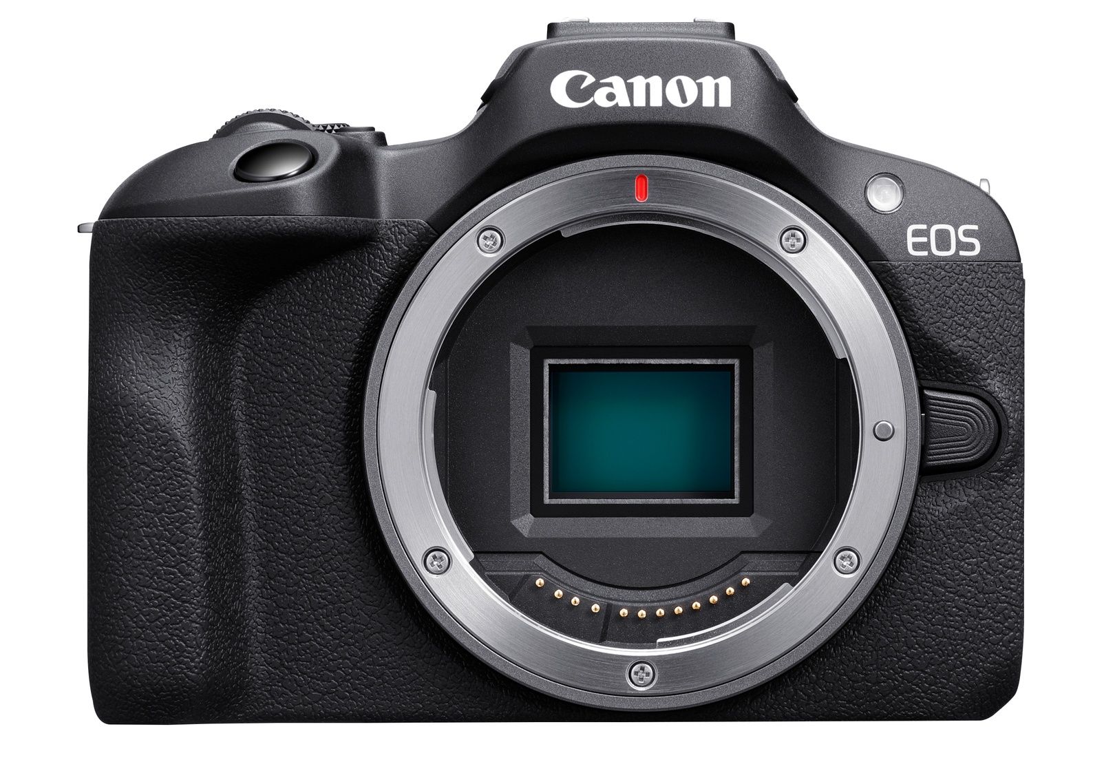 Canon EOS R100 matryca