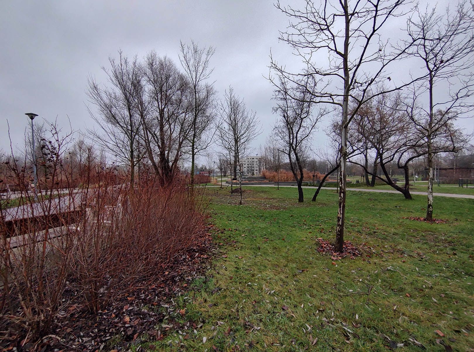 aparat tylny, ultraszerokokątny