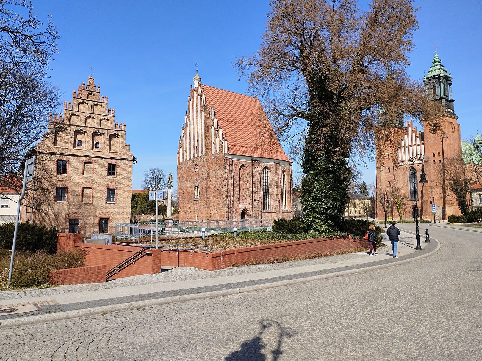 aparat tylny, podstawowy