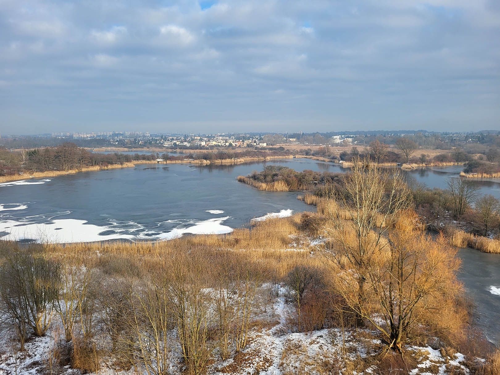 aparat tylny, podstawowy