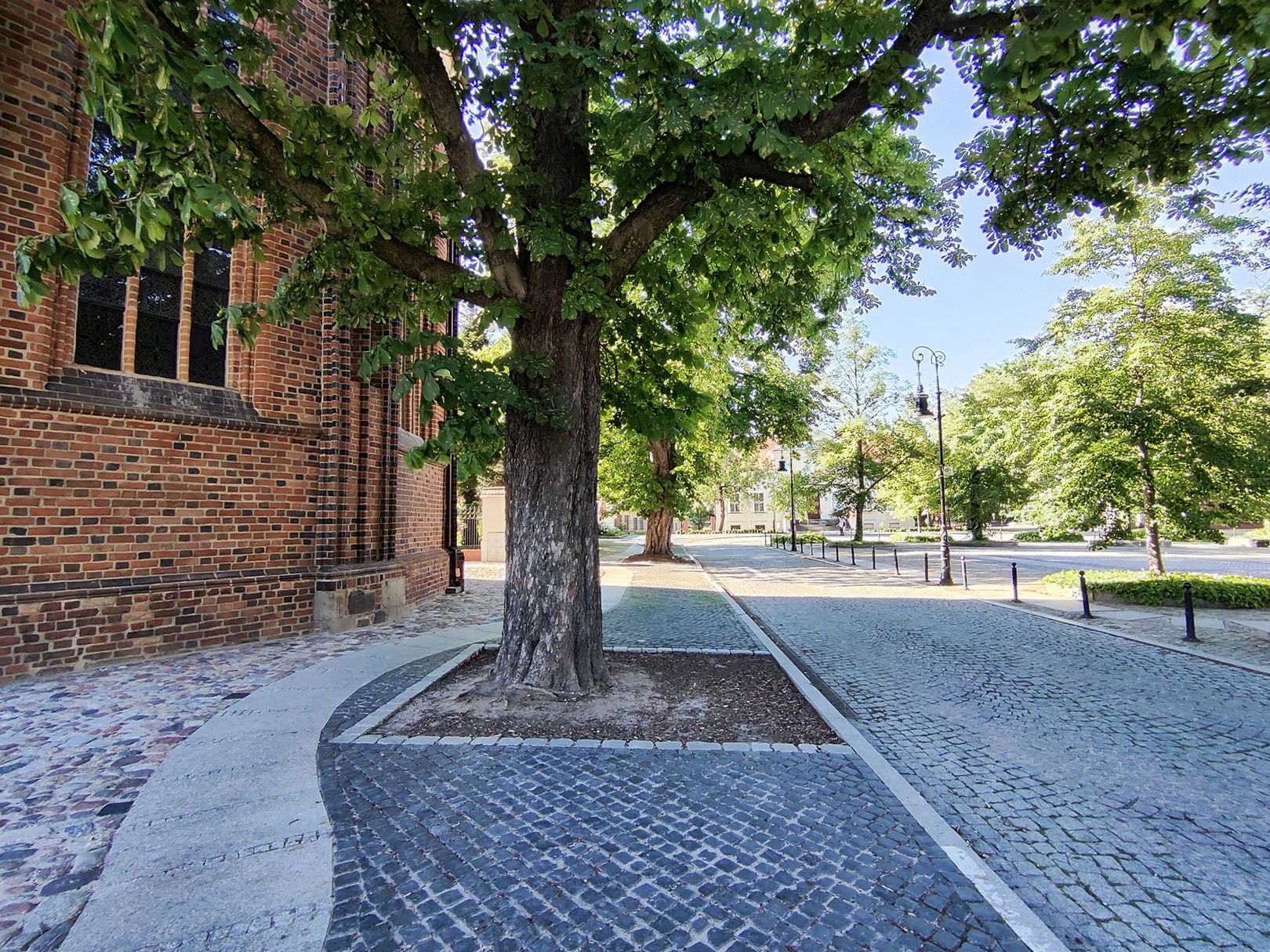 POCO F4 - aparat tylny, ultraszerokokątny