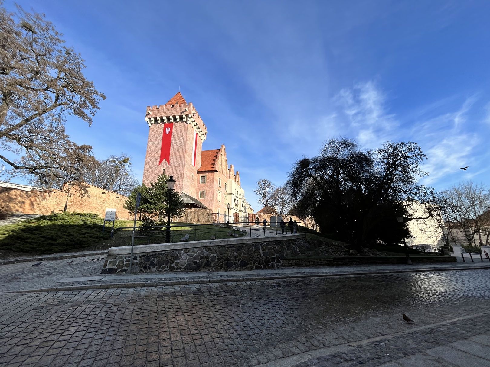 iPhone 13 - aparat tylny, ultraszerokokątny