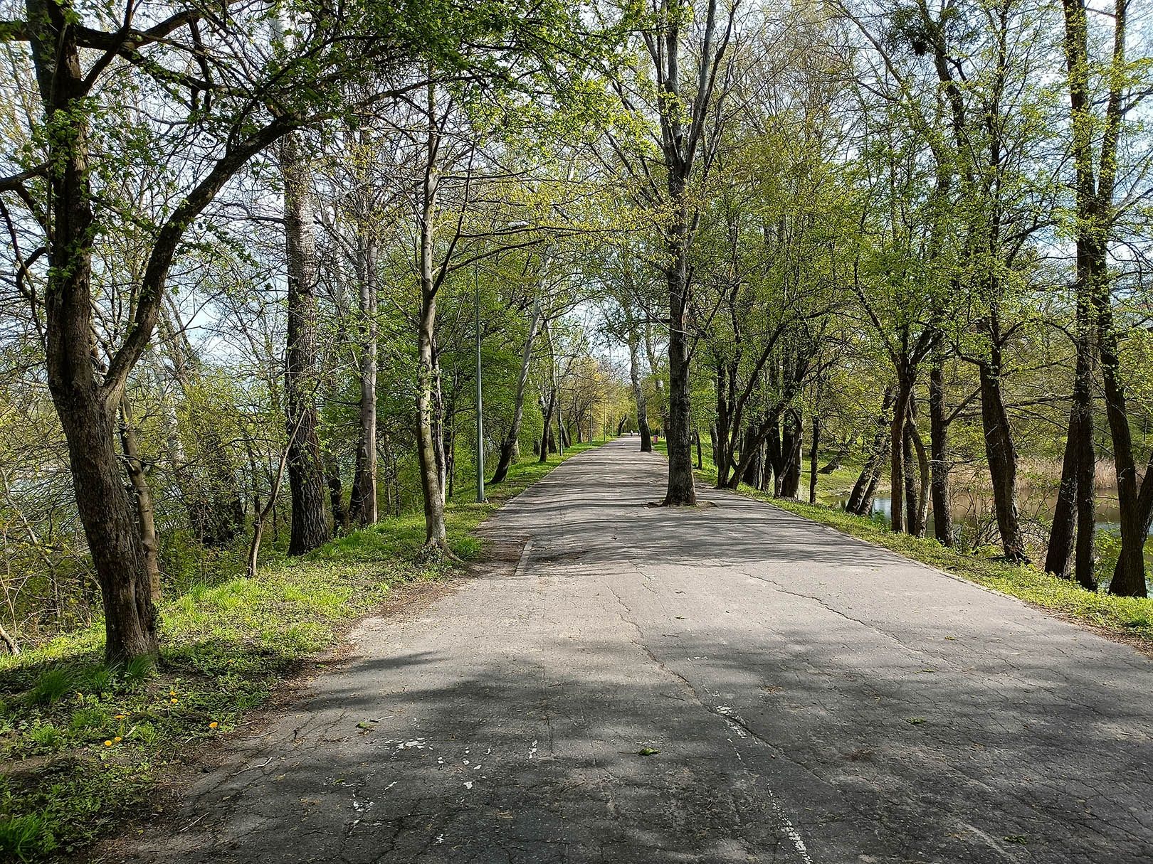aparat tylny, podstawowy