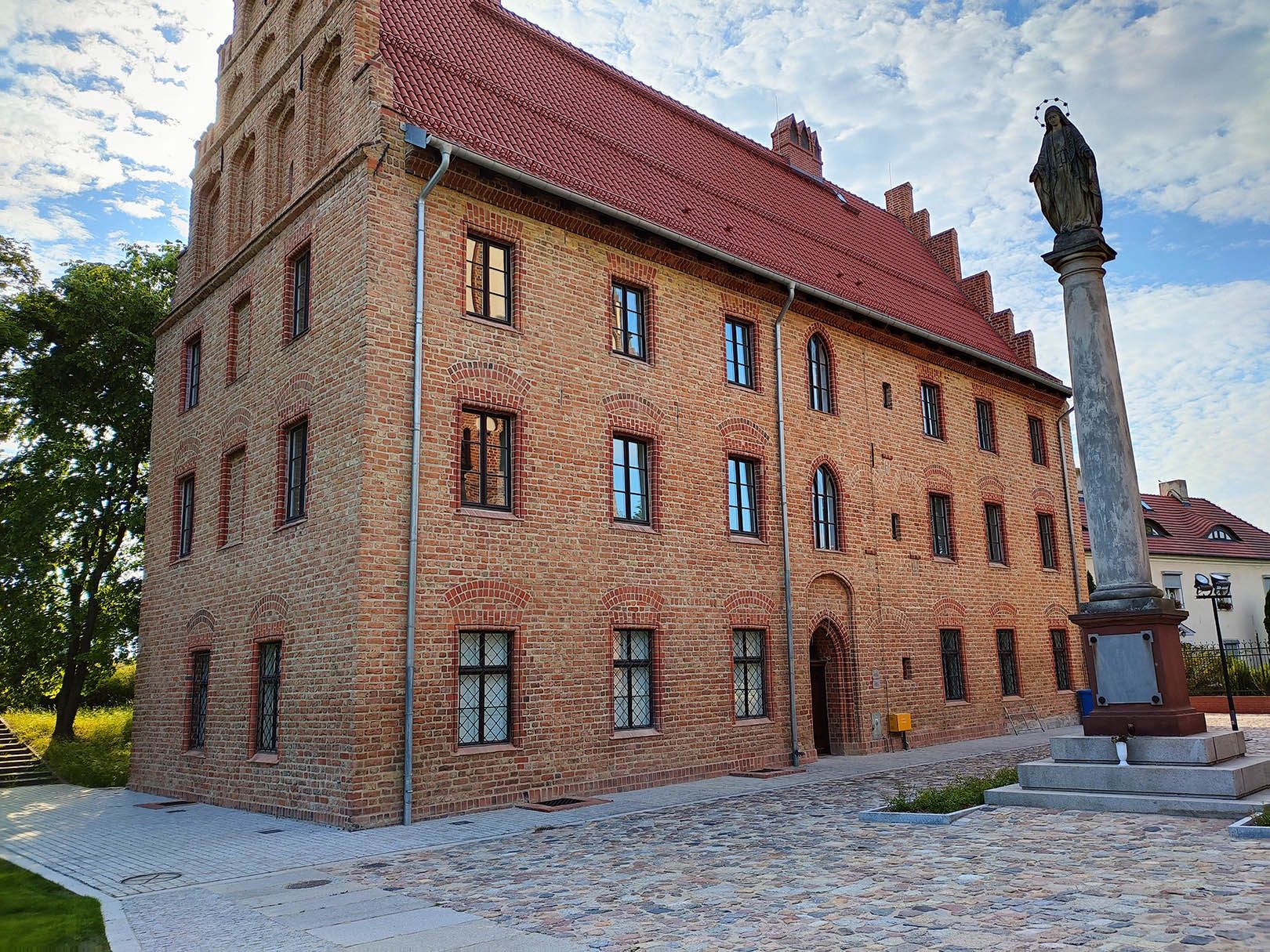 aparat tylny, podstawowy