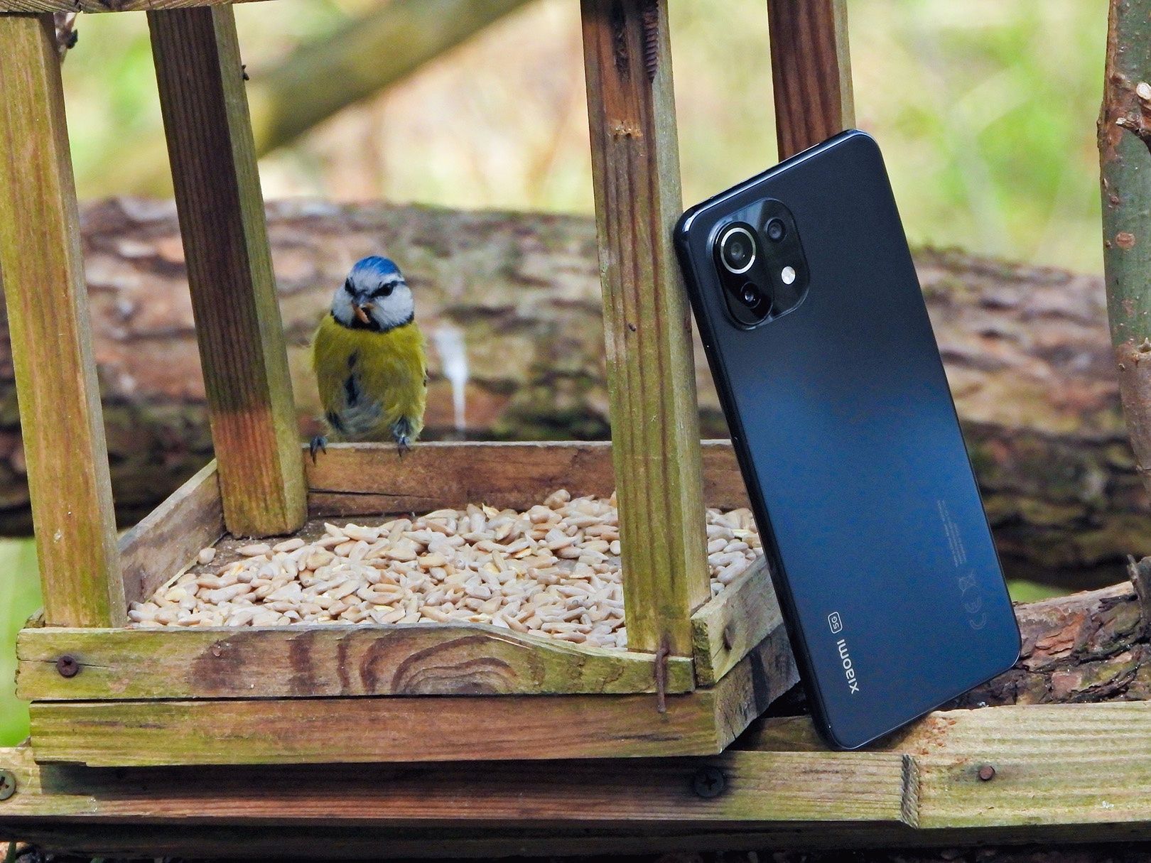 Xiaomi Sikorka