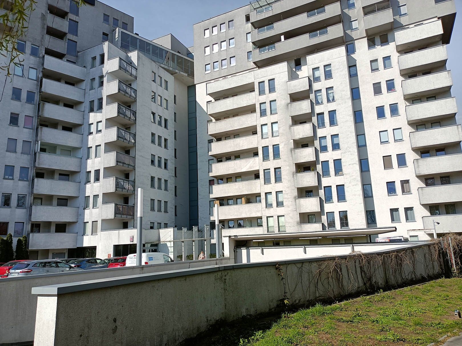 aparat tylny, podstawowy