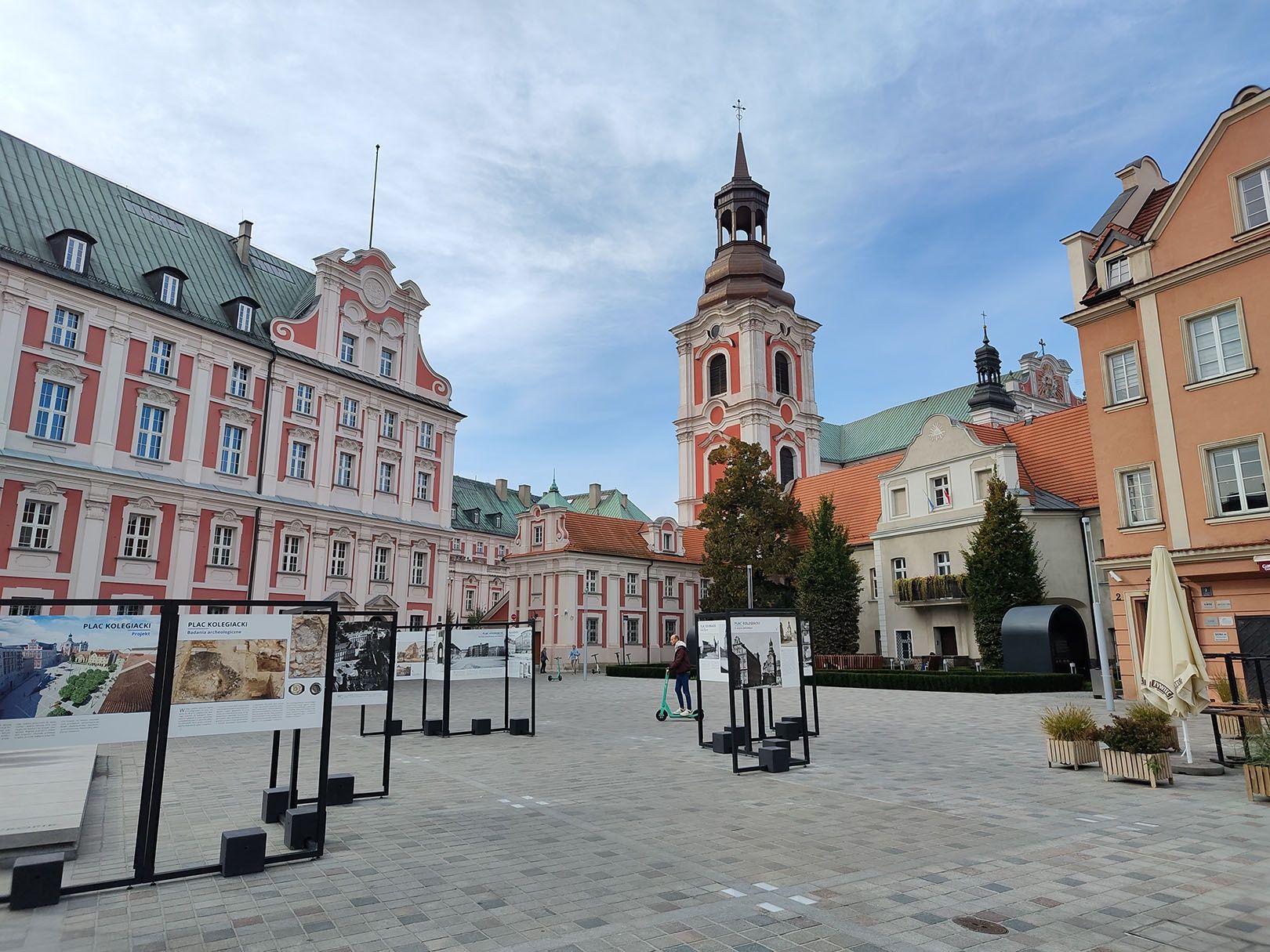 aparat tylny, podstawowy
