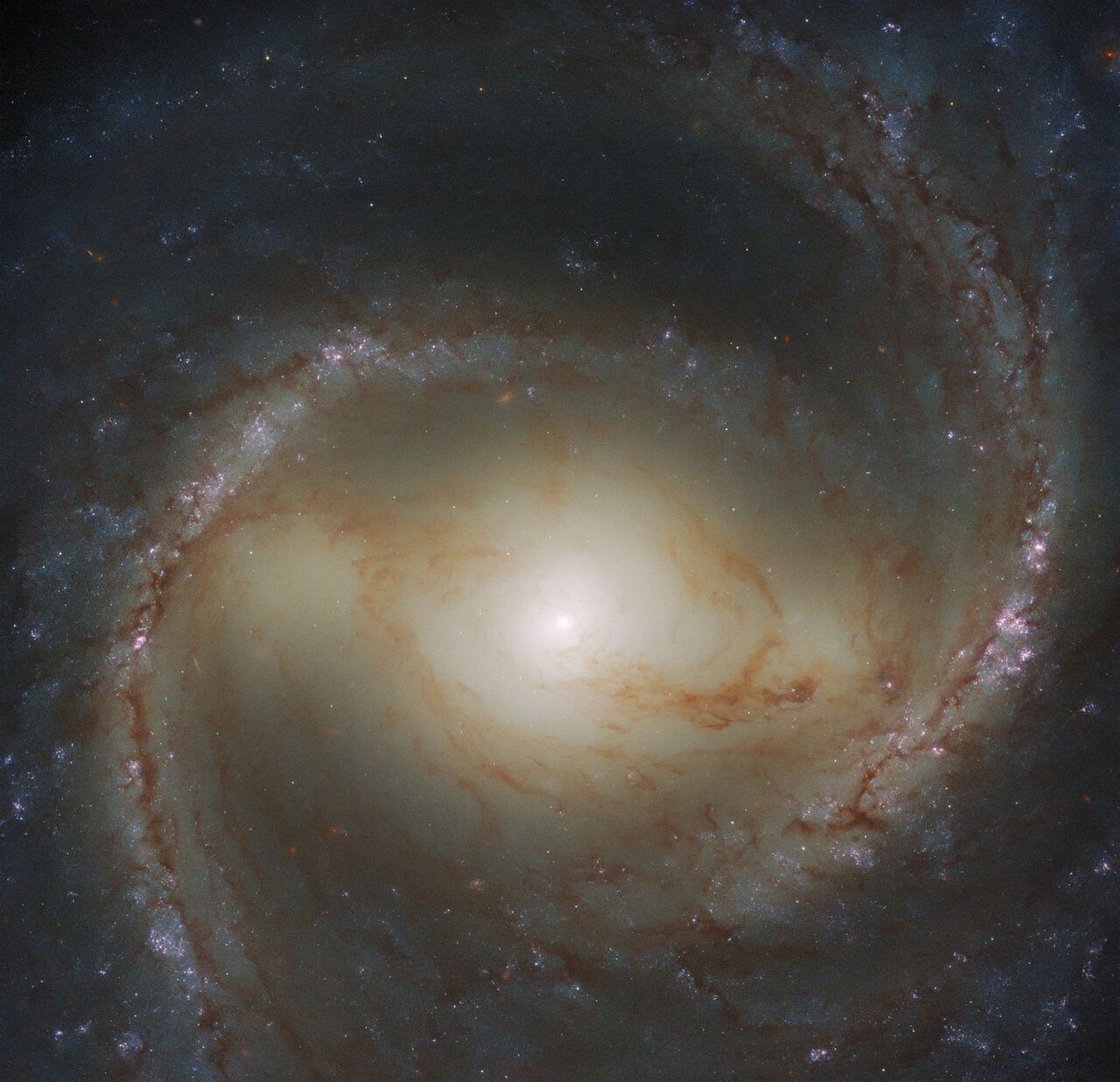 M91