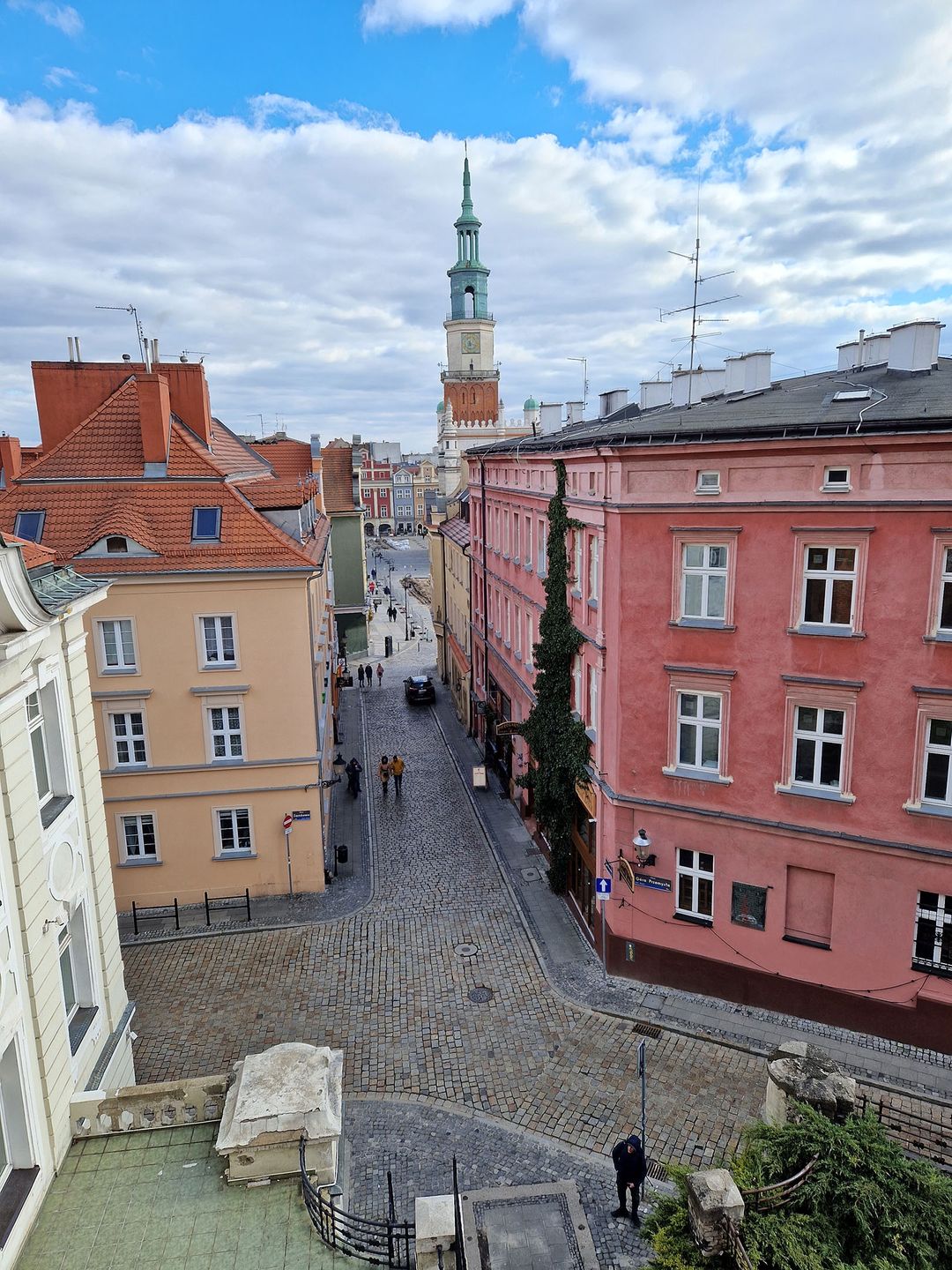 aparat tylny, podstawowy