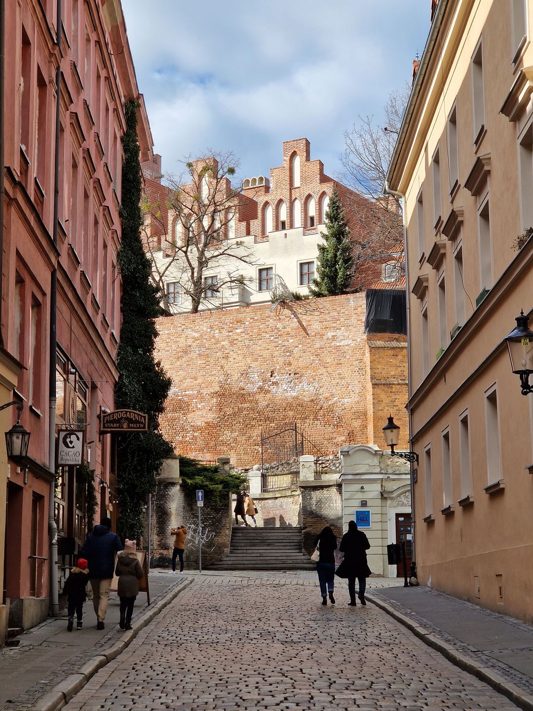 aparat tylny, zoom optyczny 3x